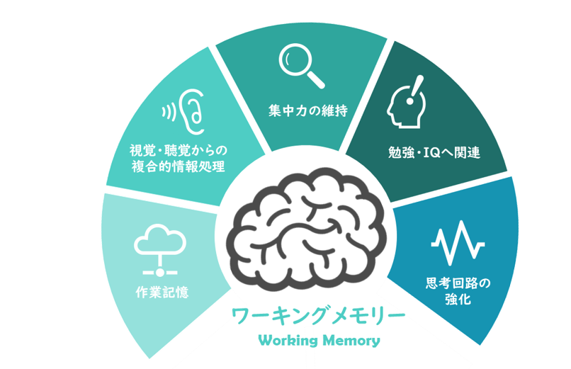 ブレインフォグ専門外来 薬に頼らない脳のモヤ専門治療 東京tmsクリニック