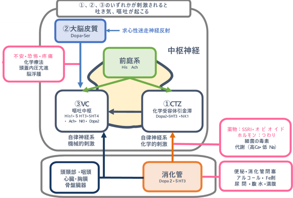 朝の吐き気 落ち込み専門外来 薬に頼らないｔｍｓ治療 東京tｍｓクリニック